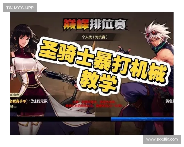 DNF圣骑士加点深度解析全面指南打造最强辅助与输出流派