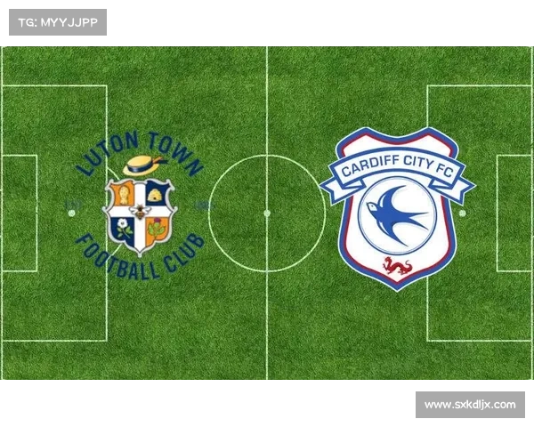 全面解析加的夫城足球俱乐部所参与联赛的历史沿革与竞争格局全貌